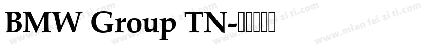 BMW Group TN字体转换